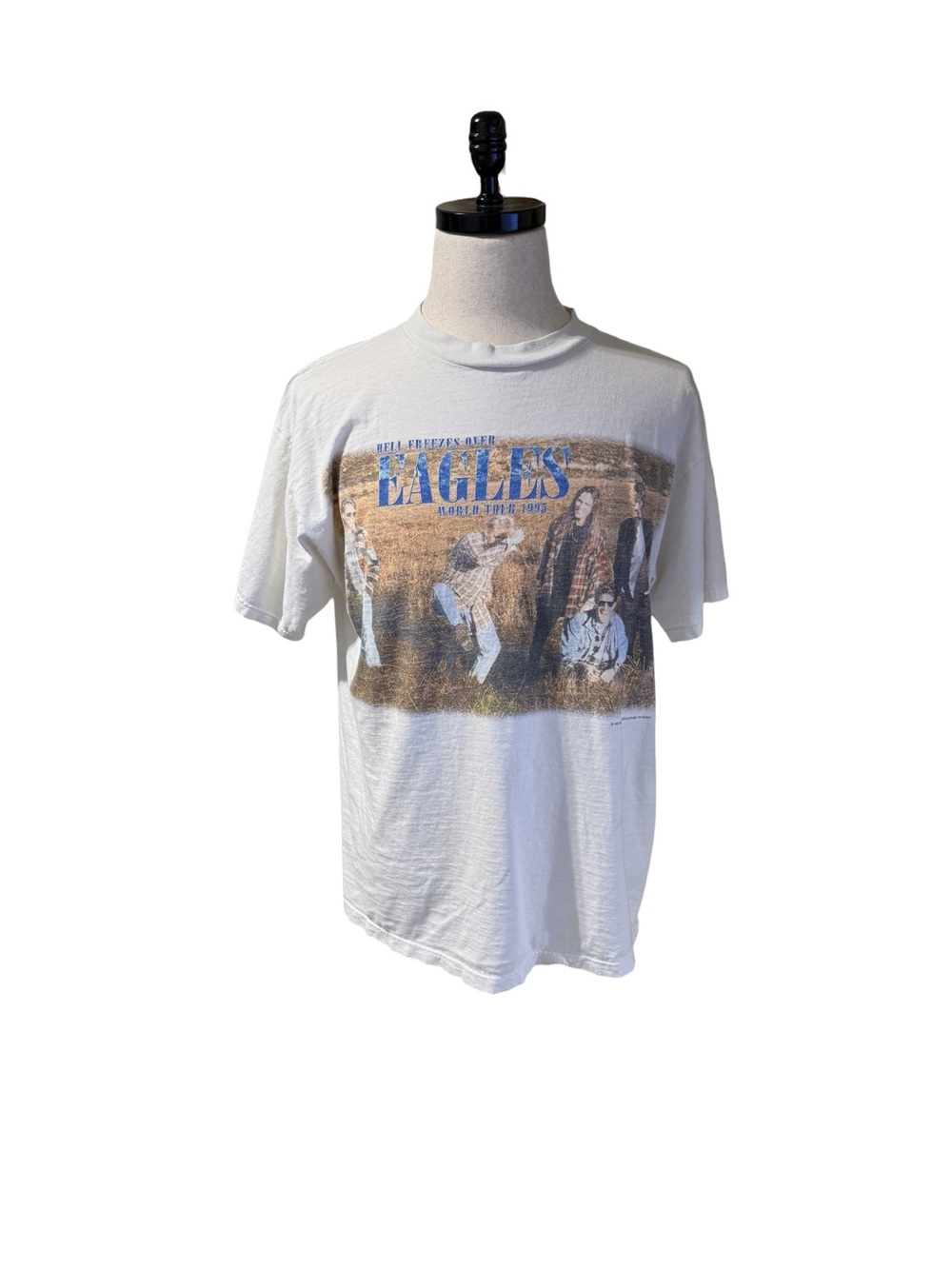 Vintage Eagles Hell Freezes Over‎ Tour T-Shirt 1995 SZ XL